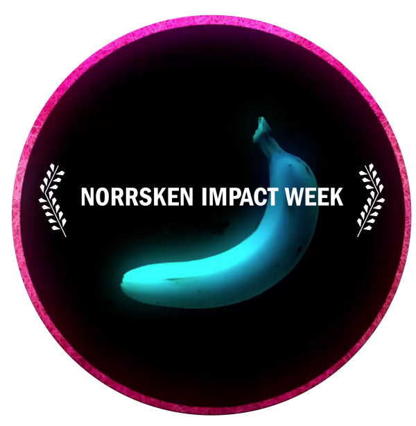 Norrsken Impact week logo